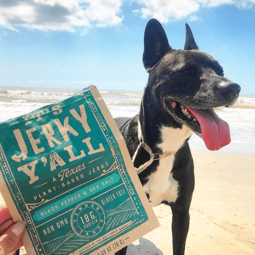 A happy dog at the beach poses with a bag of All Y’alls Foods’ Black Pepper & Sea Salt Jerky, capturing the perfect outdoor snacking vibe, from https://allyallsfoods.com/.