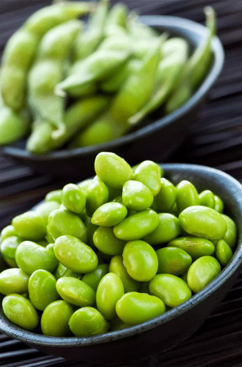 Bowls of fresh edamame, a source of plant-based protein, promoting the benefits of ensuring plant-based protein in a meal replacement.