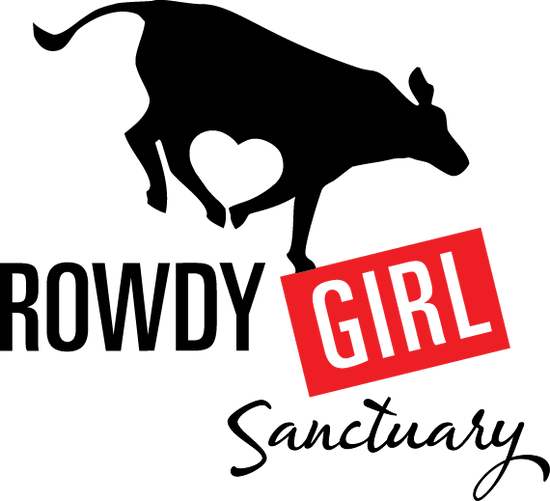 Rowdy Girl Sanctuary logo featuring a cow silhouette, promoting 'It’s Jerky Y’all' as a plant-based protein meal replacement.